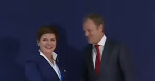 Bez tytułu.png